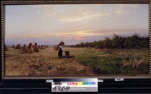 Moisson dans la lumière du soir