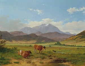 Paysage avec Schneeberg