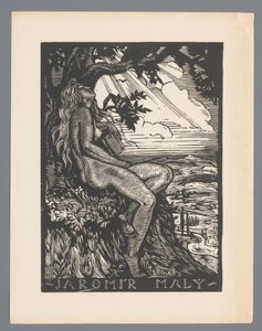 Ex libris de Jaromír Malý