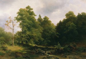 Le coin tranquille de la forêt