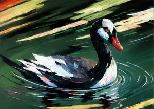 Animaux : Cygne noir 1