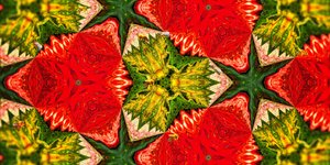 Créatures : Abeilles dans le jardin de roses