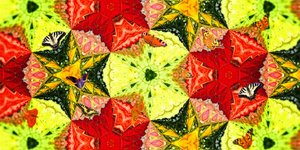 Créatures : Papillons dans le jardin de roses - Josef Johann Michel