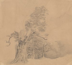  - Josef Kriehuber