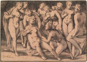 Diane découvre la grossesse de Callisto