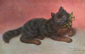 Carte postale de chat - Josef Sperlich