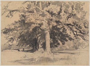 Hauts arbres près de Böding - Josef Wenglein