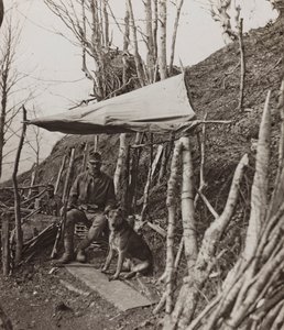 Album "Meine weltkriegs - Erinnerungen South-West Front (Carinthia, Italie, South Tyrol) 31/03/1915-12/11/1918 - Josef Zohles Wien": chien militaire sous une tente - Josef Zohles