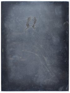 (Femme nue se coiffant)
