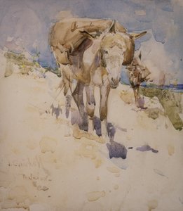 Tanger - Joseph Crawhall
