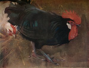 Le Coq Noir