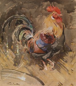 Le Coq de Minorque