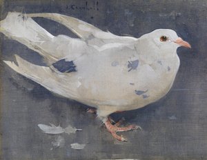 Le Pigeon - Joseph Crawhall