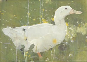 Le canard blanc - Joseph Crawhall