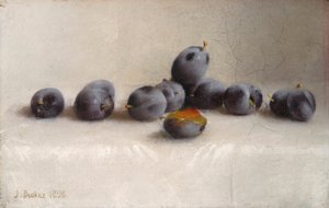 Douze prunes
