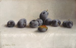 Douze prunes