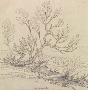 Passerelle sur un ruisseau près d