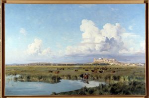Paysage de Camargue