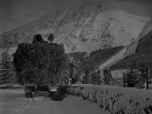 Un camion rempli d