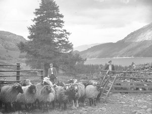 Deux bergers avec un troupeau de moutons et Thirlmere derrière eux - Joseph Hardman