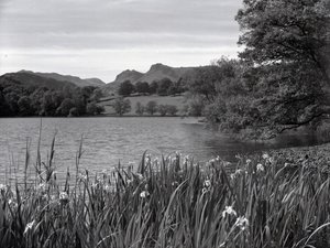 Vue sur le Tarn de Loughrigg