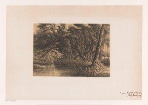 Paysage forestier avec étang
