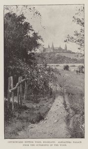 Churchyard Bottom Wood, Highgate, Alexandra Palace depuis les abords du bois