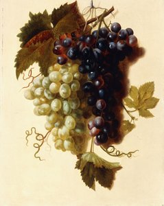 Grappe de raisins verts et rouges suspendue à une corde, vers 1796