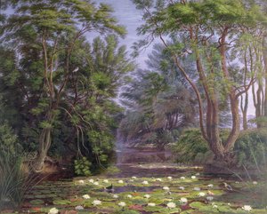 Nénuphars de la rivière Cherwell, 1851