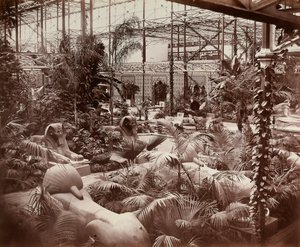 Le Crystal Palace à Londres : la section tropicale, c.1870