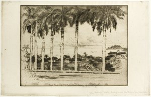 Promenade des Évêques, colline d
