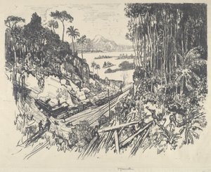La jungle