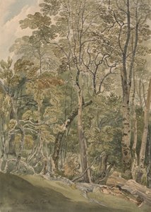 Dans le parc de Rydal