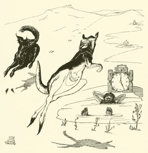 Le vieux kangourou