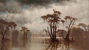 Scène de bayou