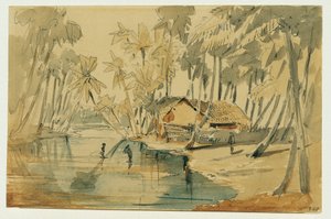 Bosquet de palmiers à Ceylan (Sri Lanka) - Joseph Selleny
