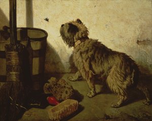 Le chien et la mouche, 1856