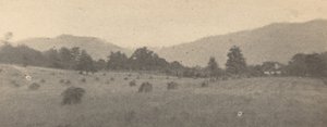 Paysage avec arbres et montagnes