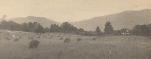 Paysage avec arbres et montagnes, c. 1900 (photo)