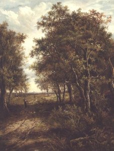 Une clairière dans les bois