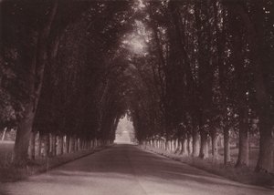 Allée, Château de Grand-Vaux, Savigny-sur-Orge, the Family Home of Vigier,c. 1855 (photo) - Joseph Vigier