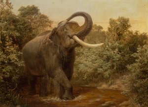 Le monstre Tusker
