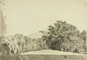 Paysage boisé - Joseph Wright of Derby