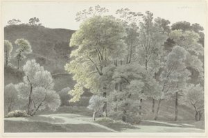 Arbres autour de Subiaco - Josephus Augustus Knip