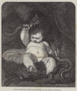 Hercule enfant