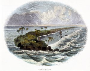 Récifs Coralliens, de Phénomènes de la Nature, 1849