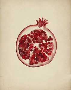 Une grenade rouge juteuse - Josie George