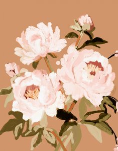 Pivoines rose pâle - Josie George