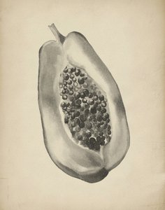 Demi-papaye tropicale - Josie George