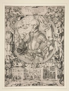 Gaspard de Coligny, Amiral de France